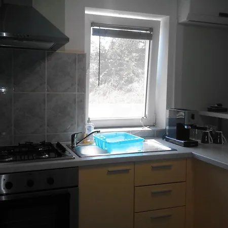 Apartment Ruza *