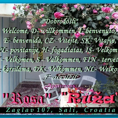 Apartament Ruza *