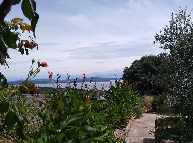 아파트 Ruza 살리