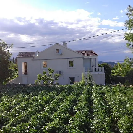 Ruza Sali