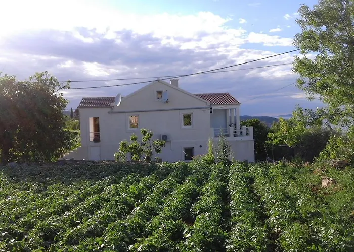Ruza Sali